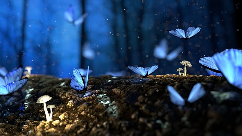 Magical Touches